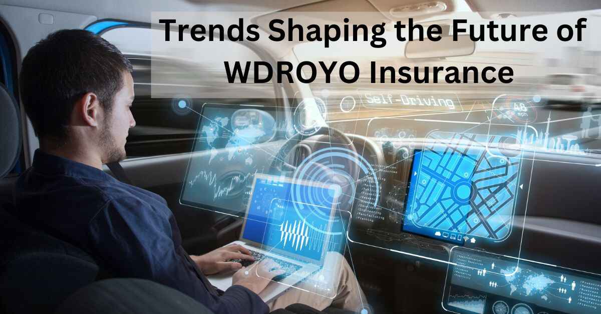 Comprehending WDROYO Insurance