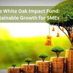 The Importance of SMEs in the USA Economy