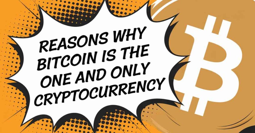 Reasons Why Bitcoin Is the One and Only Cryptocurrency